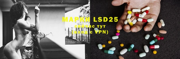 PSILOCYBIN Инта