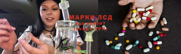 дмт Инсар