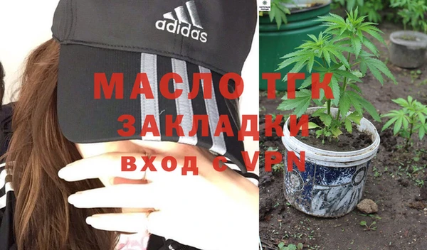 дмт Инсар