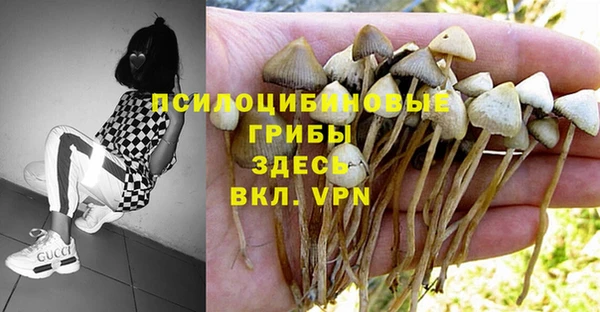 стаф Иннополис