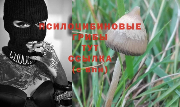 PSILOCYBIN Инта