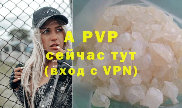 дмт Инсар