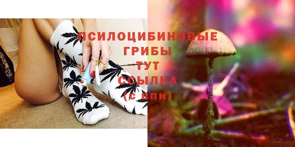 стаф Иннополис