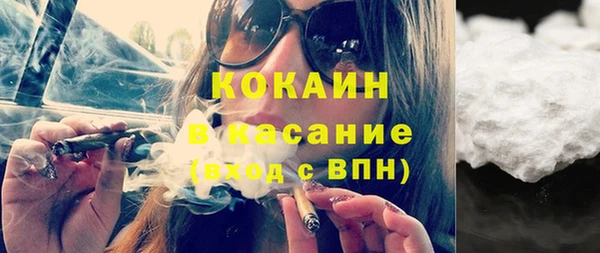 дмт Инсар
