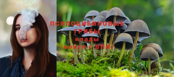 дмт Инсар