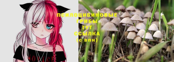 PSILOCYBIN Инта